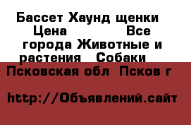 Бассет Хаунд щенки › Цена ­ 20 000 - Все города Животные и растения » Собаки   . Псковская обл.,Псков г.